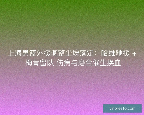 上海男篮外援调整尘埃落定：哈维驰援 + 梅肯留队 伤病与磨合催生换血