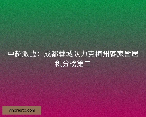 中超激战:成都蓉城队力克梅州客家暂居积分榜第二 中超激战:成都蓉城队力克梅州客家暂居积分榜第二